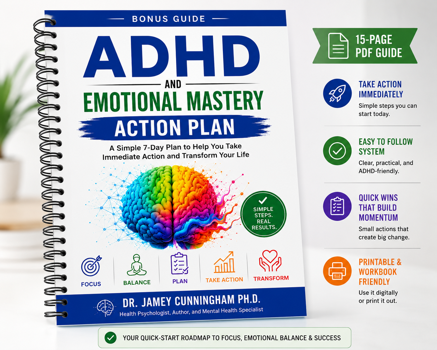 Action Plan Guide